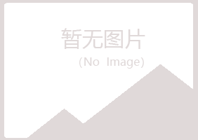 桃山区涟漪会计有限公司